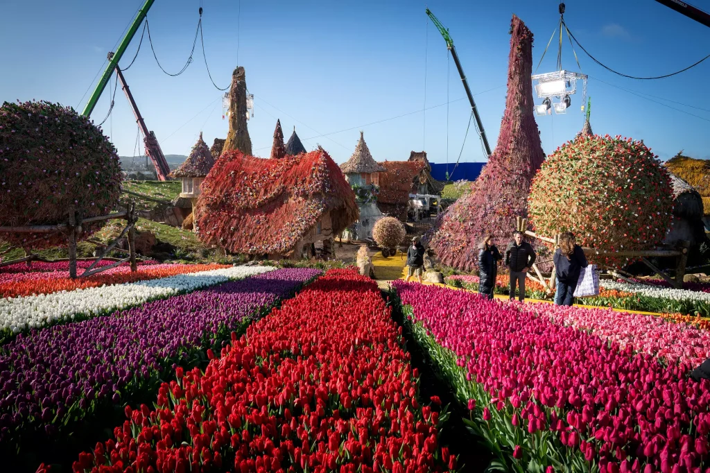 Image BTS du film Wicked